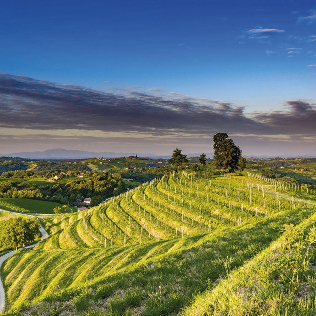 fotografije TZ Strigova - dato dopuštenje za korištenje u Gloriji IN _autor fotografija ????