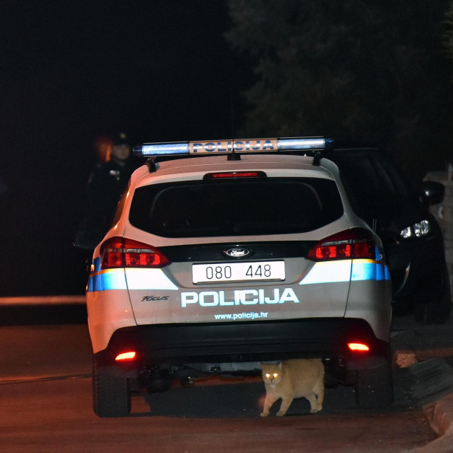 Policija (ilustracija)