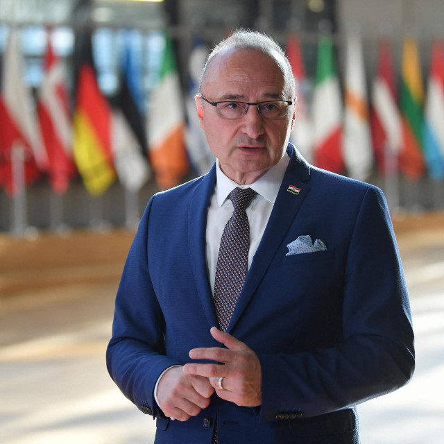 Gordan Grlić Radman