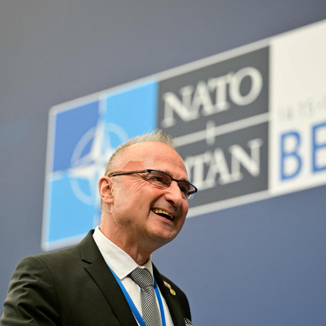 Gordan Grlić Radman