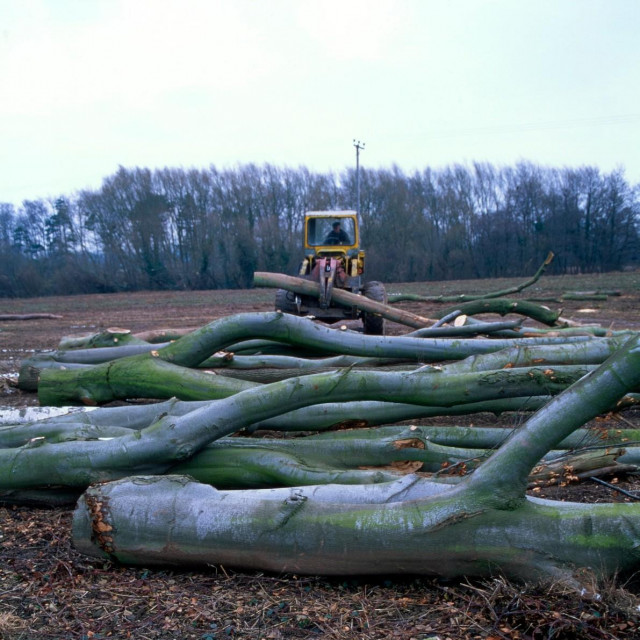 ilustrativna fotografija