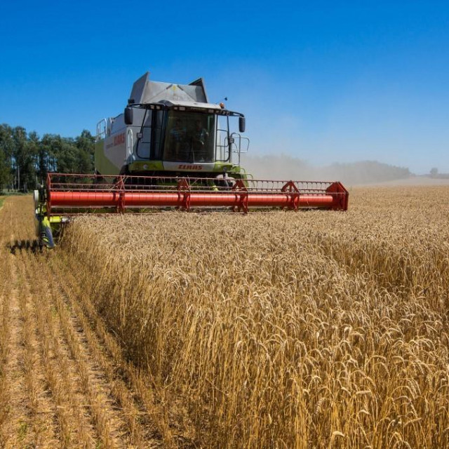 Polje u Hmeljničkoj oblasti na zapadu Ukrajine