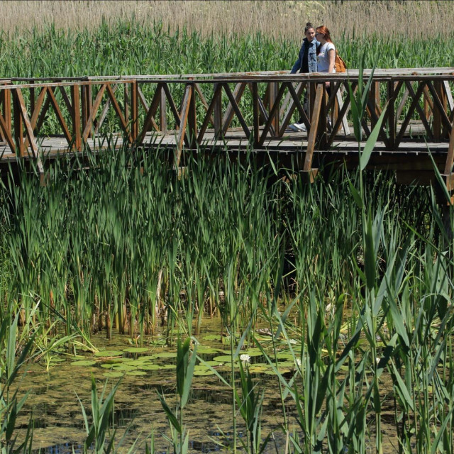 Park prirode Kopacki rit /ilustracija