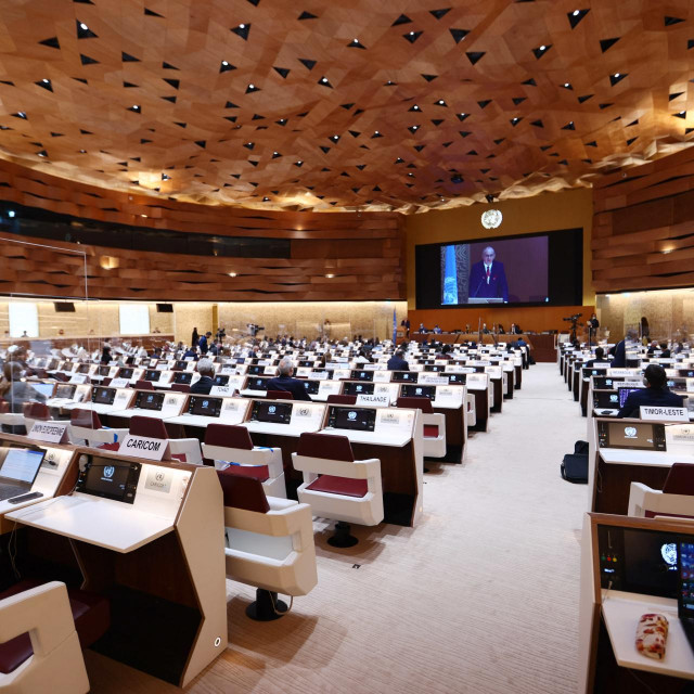 Vijeće za ljudska prava pri Ujedinjenim narodima u Ženevi/Ilustracija