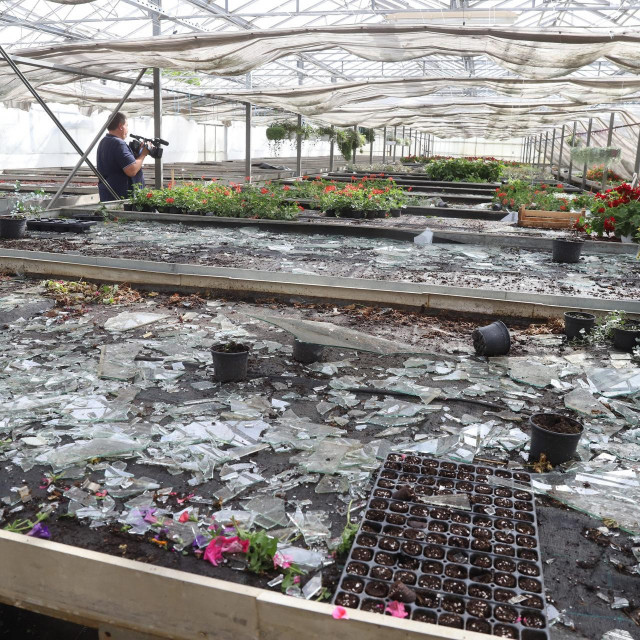 Šteta na stakleniku OPG Mraz iz mjesta Dubovica.