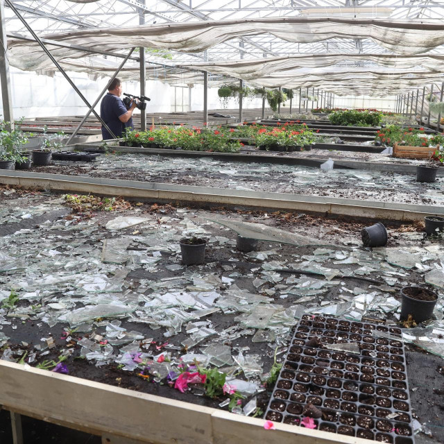 Jučerašnje nevrijeme na sjeveru Hrvatske pričinilo je znatnu štetu, osobito na staklenicima i plastenicima u općini Veliki Bukovec.
Na fotografiji: Šteta na stakleniku OPG Mraz iz mjesta Dubovica.
 