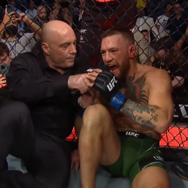 Conor McGregor i Joe Rogan