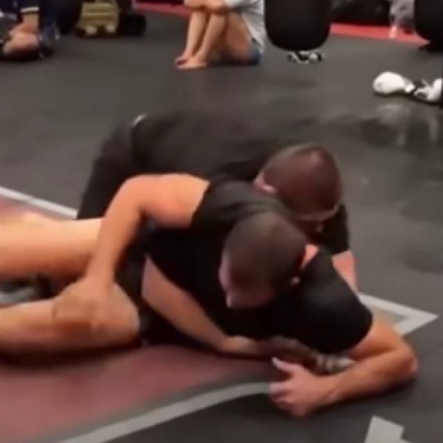 Khabib Nurmagomedov, Luke Rockhold