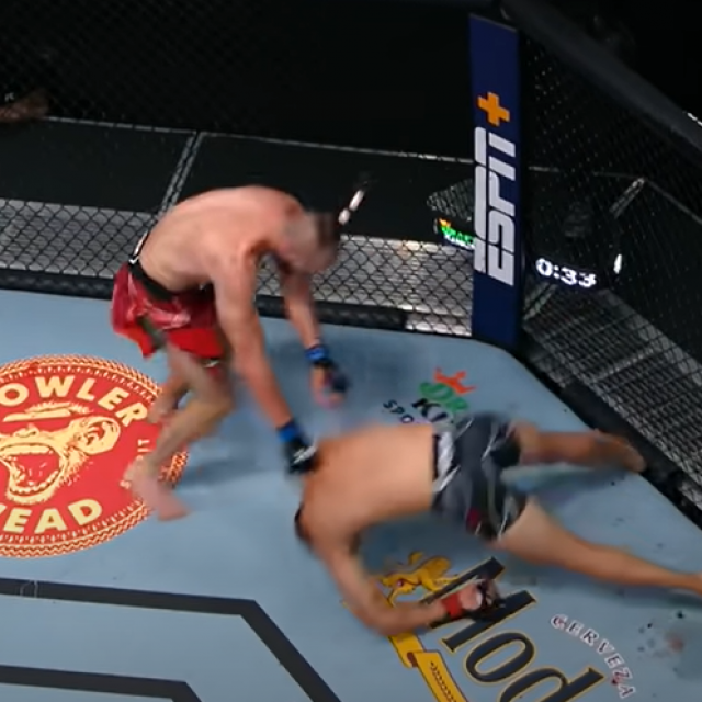 Prochazka vs. Reyes