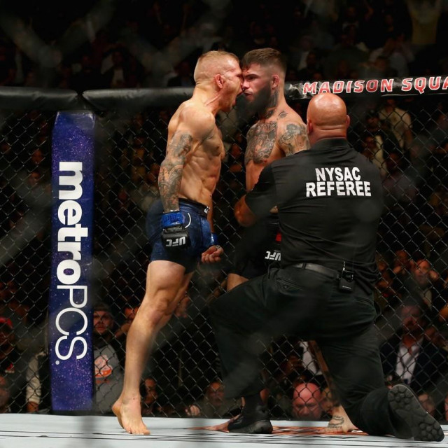 T.J. Dillashaw i Cody Garbrandt