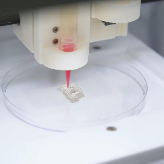 3D bioprinter ispisuje prototip uha u petrijevu ploču
