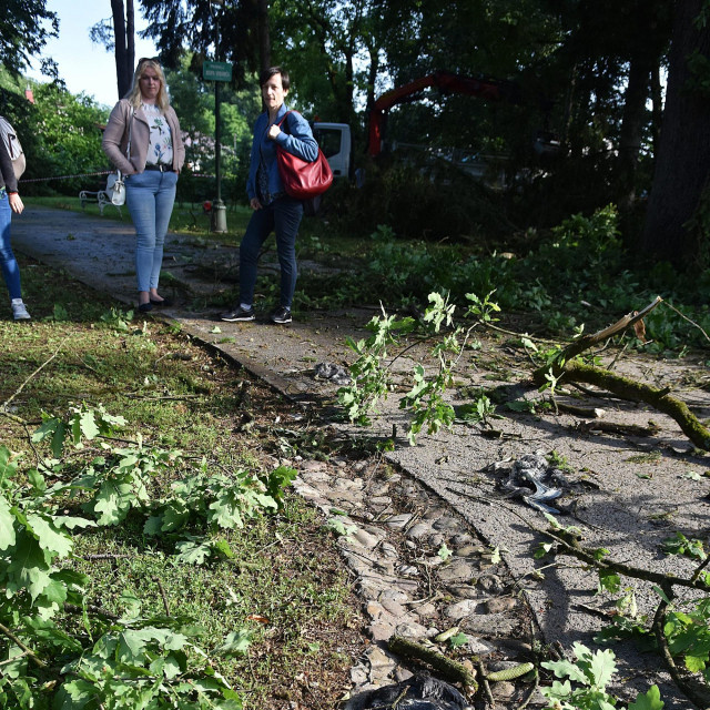 U nevremenu na karlovačkom području stradale tri mlade čaplje