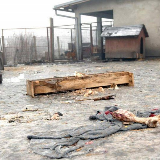 Azil prije nego su ga Pobjede preuzele