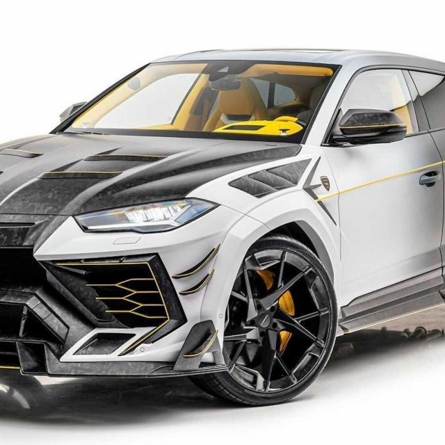 Mansory Venatus Evo S