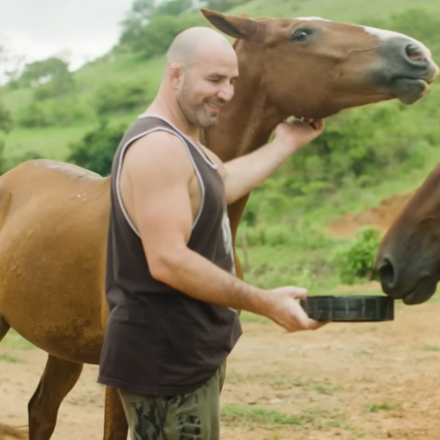 Glover Teixeira