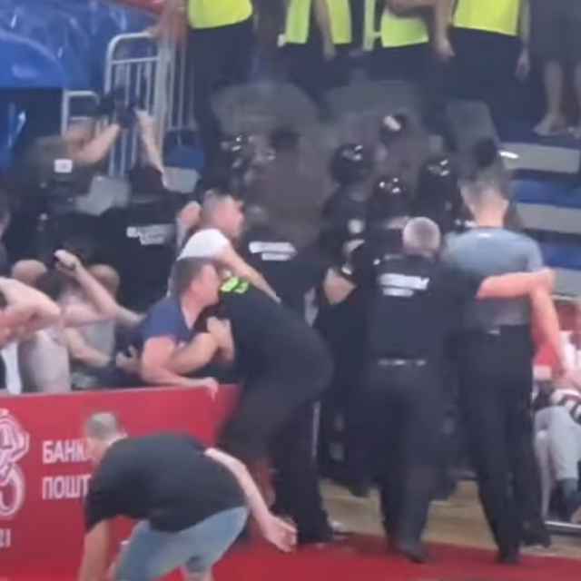 Zvezda Partizan neredi