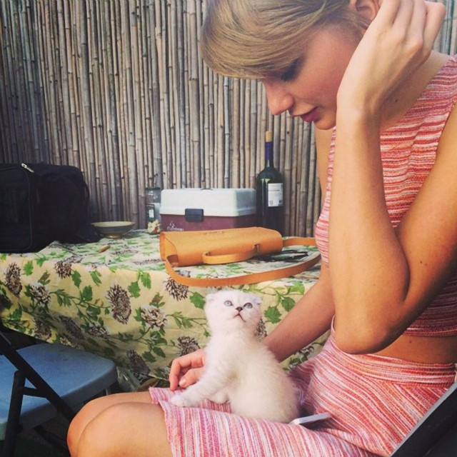 Taylor Swift  i Olivia Benson