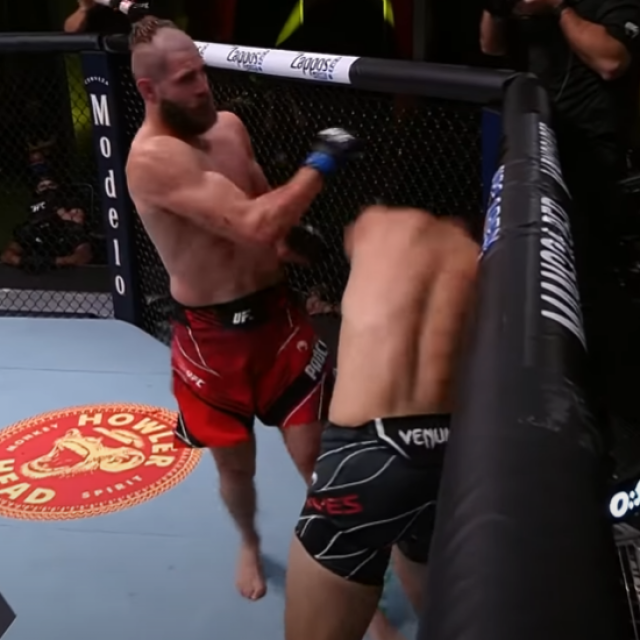 Jiri Prochazka vs Dominick Reyes