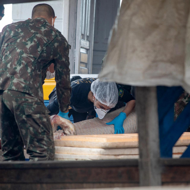 Pereira i Phillips posljednji su put viđeni kod ulaza u teritorij na kojem živi autohtono stanovništvo Amazonije