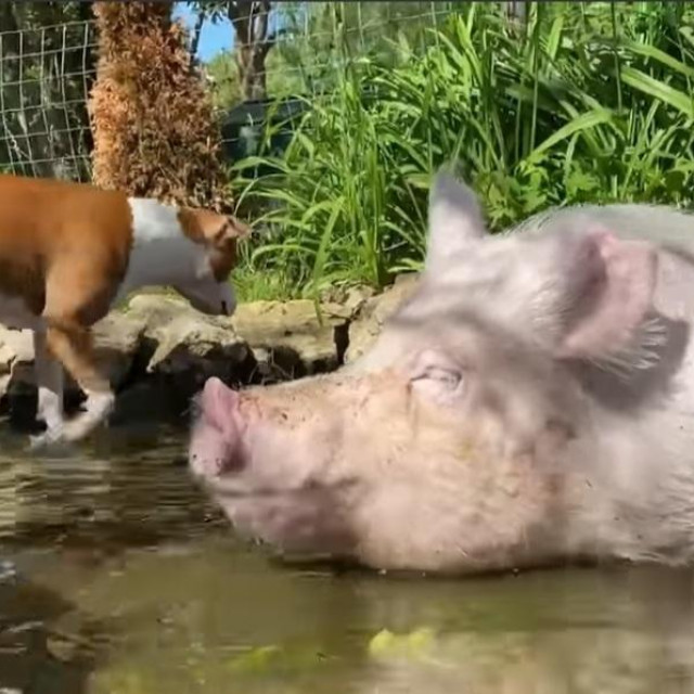 Esther i Phil
