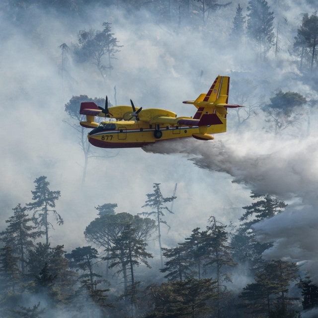 Ilustrativna fotografija