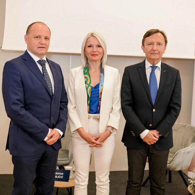 Davor Štimac, Sanja Klobučar Majanović i Davor Miličić