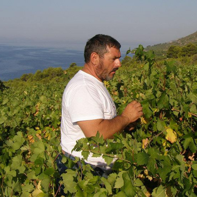 Ivo Carić, vlasnik vinarije Vino Hvar