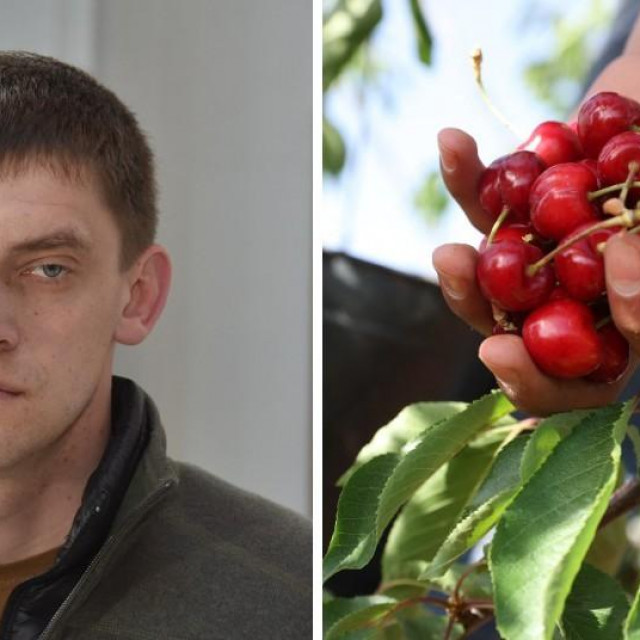 Ivan Fedorov i ilustracija trešanja