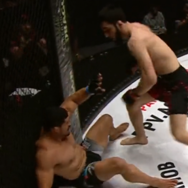 Rousimar Palhares vs. Ibragim Magomedov