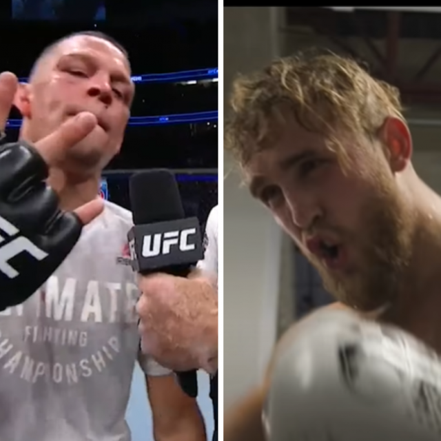 Nate Diaz i Jake Paul