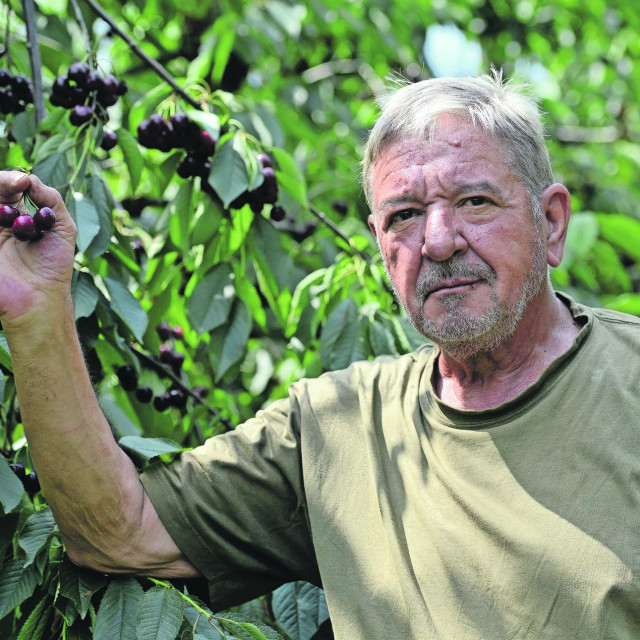 Zlatan Kljaković Gašpić