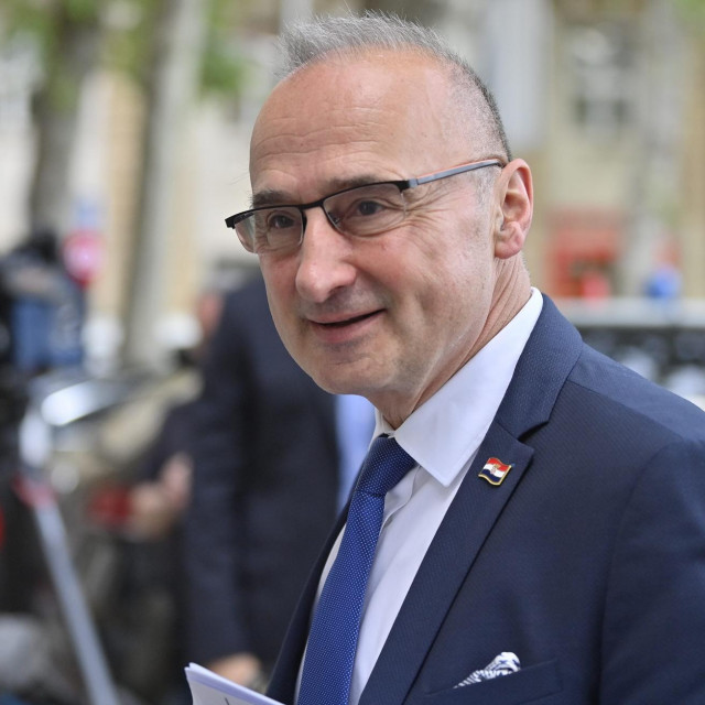 Gordan Grlić Radman