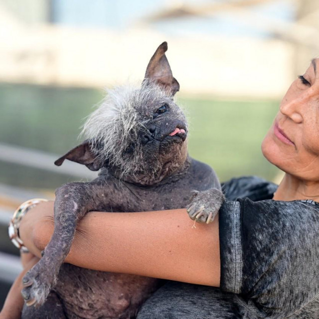 Mr. Happy Face i njegova vlasnica