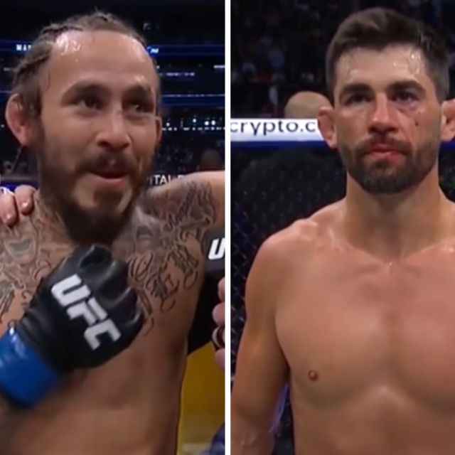 Marlon Vera i Dominick Cruz
