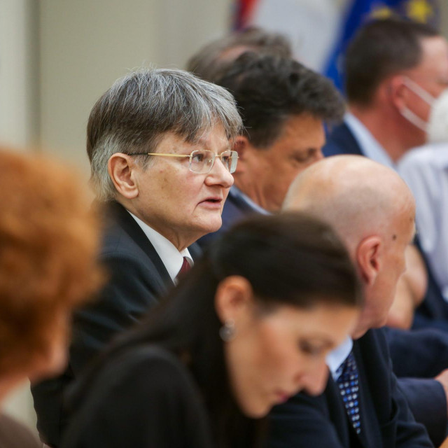 Predsjednik Vrhovnog suda Radovan Dobronić