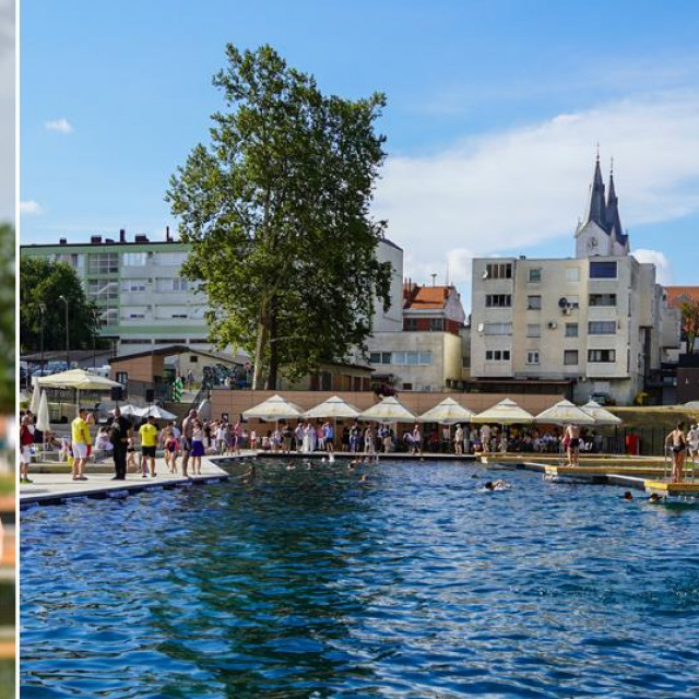 Lidija Bačić; biološki bazen