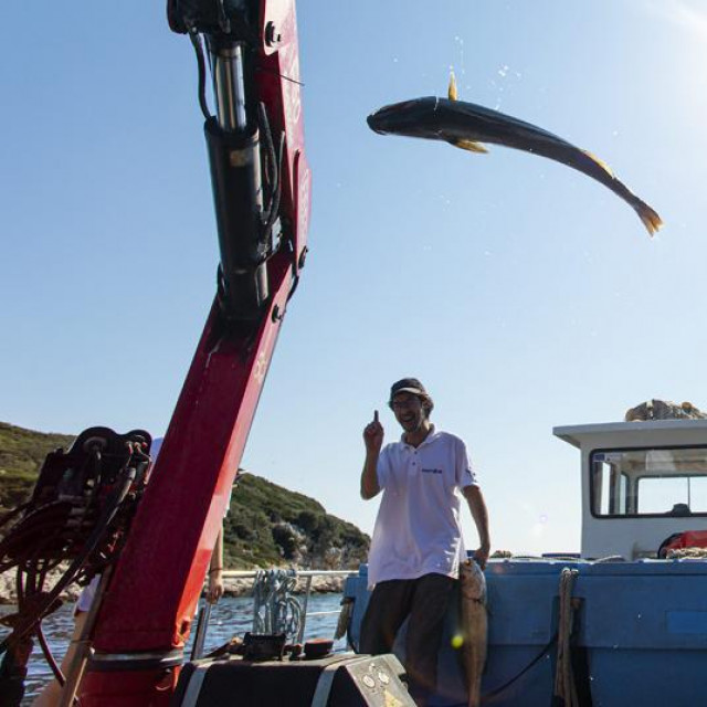 Ribogojilište pokraj mjesta Sobra