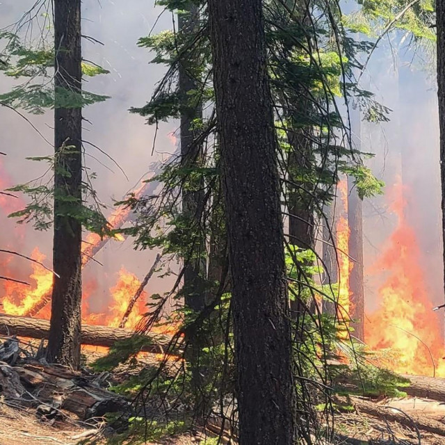Požar u nacionalnom parku Yosemite, srpanj 2022.