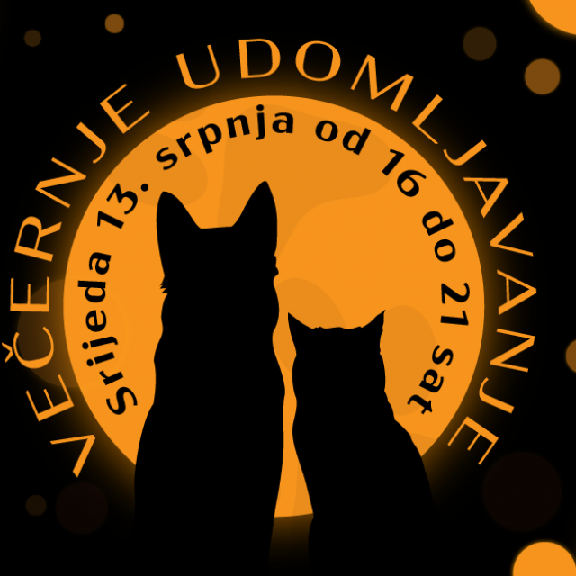 Večernje udomljavanje