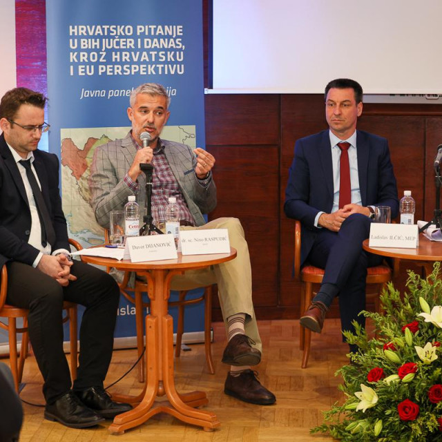 Nino Raspudić, Ladislav Ilčić