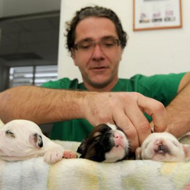 Veterinarska ordinacija Igora Markovića