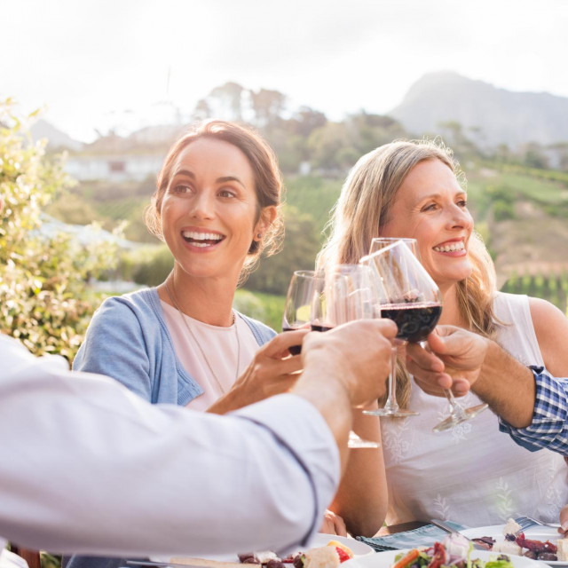 Happy friends raising their glasses in a toast in a winery farm. Smiling mature woman and men enjoying a picnic together. Middle aged multiethnic couple having dinner together and toasting wine.