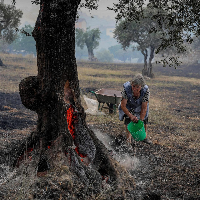Požari u Portugalu
