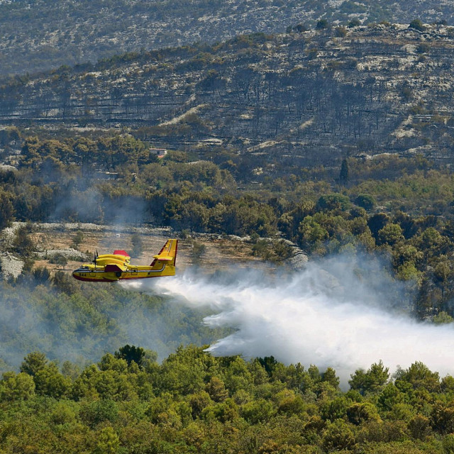 Kanader gasi požar kod Zatona