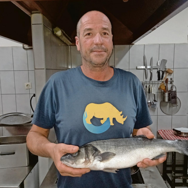 Josip Medić Tote