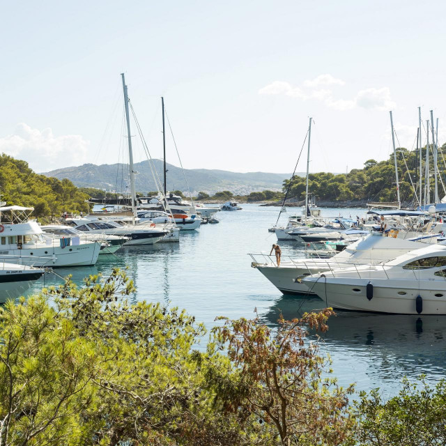 ACI marina Palmizana
 