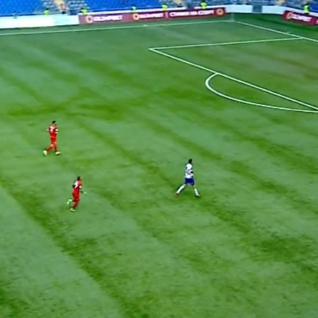 Nejašmić u donjem lijevom kutu