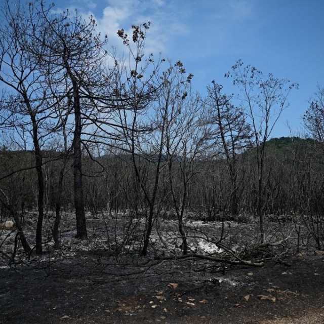 Prizori posljedica požara u Sloveniji
