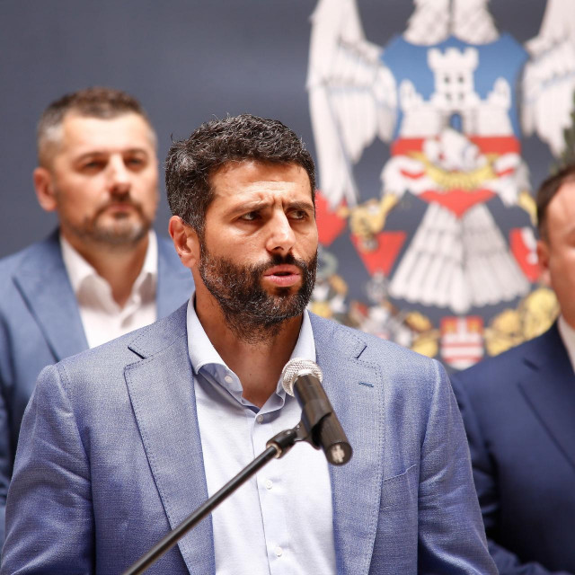 Aleksandar Šapić stao je u obranu Ratka Mladića