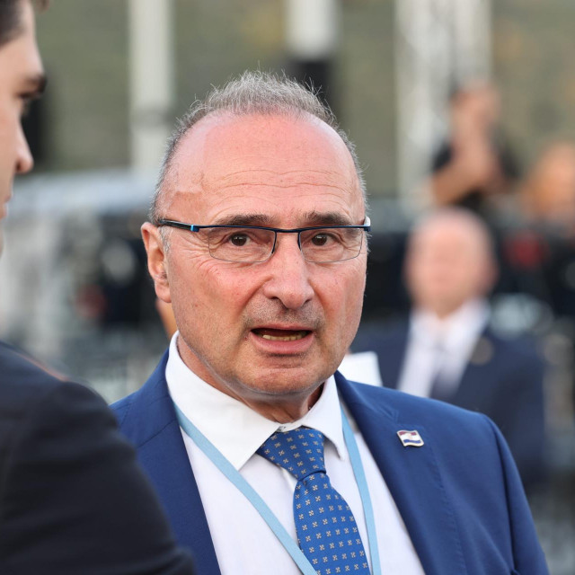 Gordan Grlić Radman